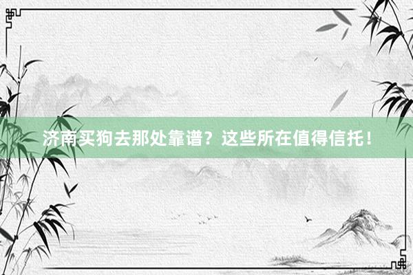 济南买狗去那处靠谱？这些所在值得信托！
