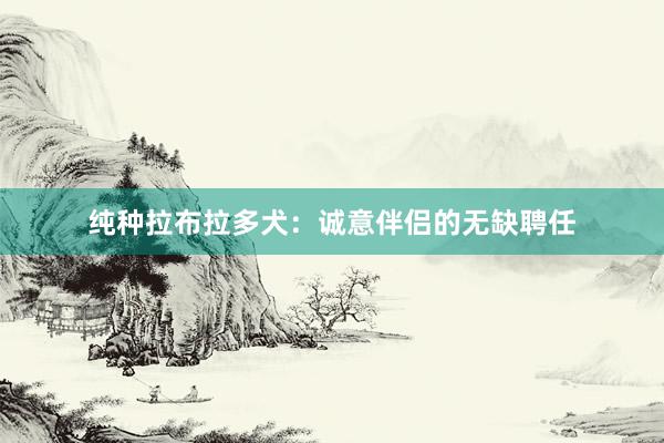 纯种拉布拉多犬：诚意伴侣的无缺聘任